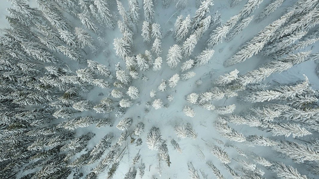 Lee más sobre el artículo Descubre el Fascinante Mundo de la Fotogrametría: ¡Una Puerta a Increíbles Oportunidades!